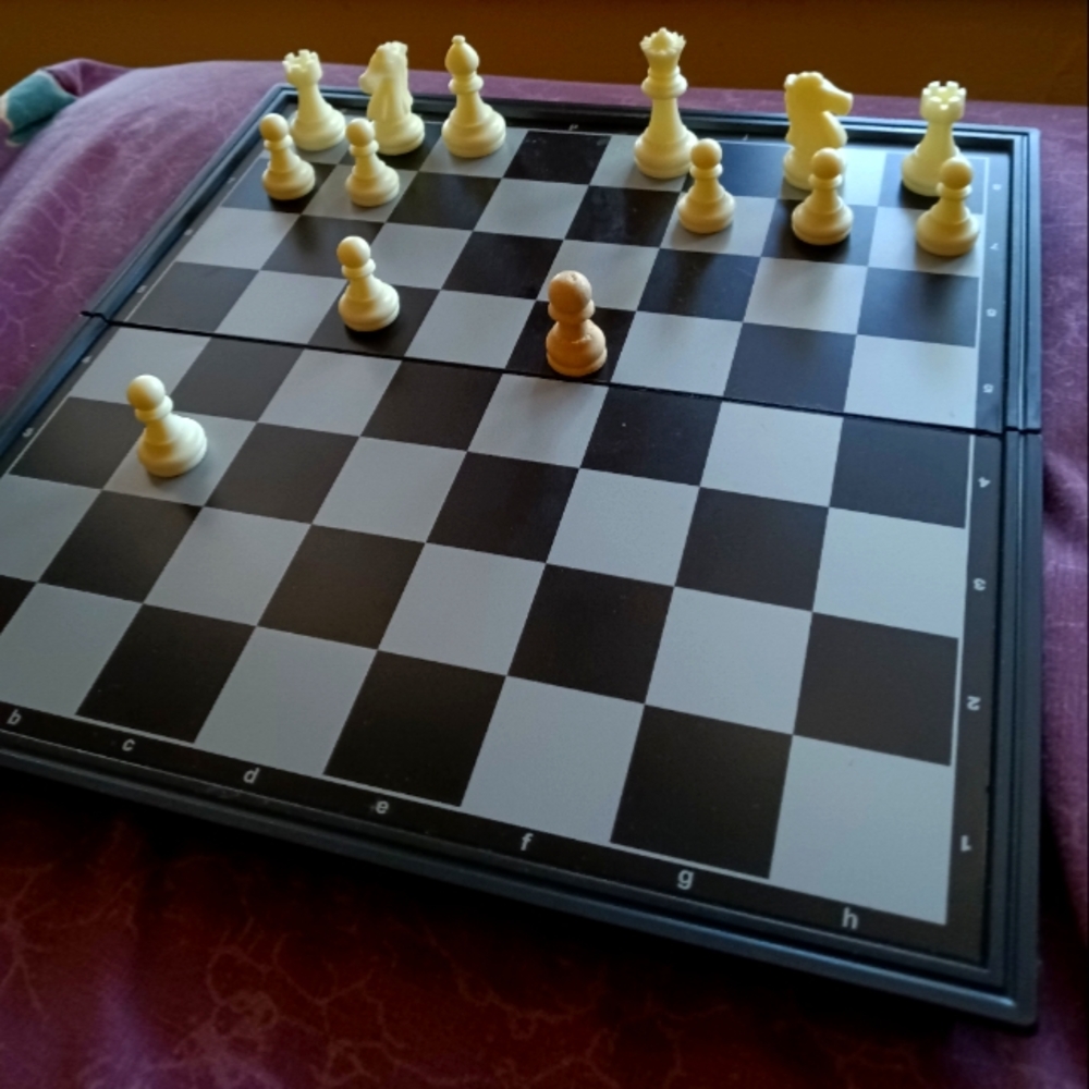 quad pro magnetic chess set